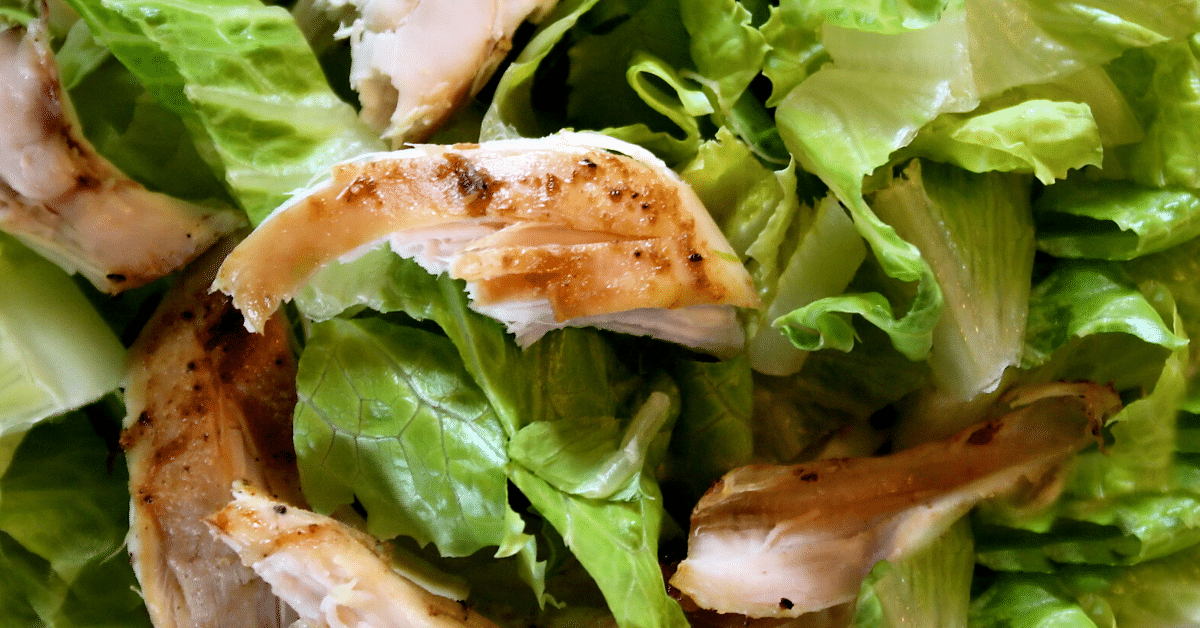 The-Galveston-Diet-Recipes-Chicken-romaine-salad-lo-carb